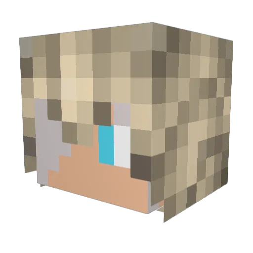 bjarnaw Minecraft avatar head, 3D render
