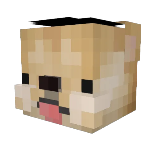 bjbjower Minecraft avatar head, 3D render