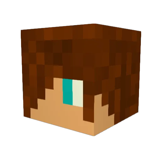 bjc20 Minecraft avatar head, 3D render