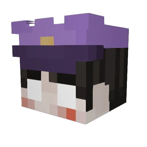 bjdkm Minecraft avatar head, 3D render