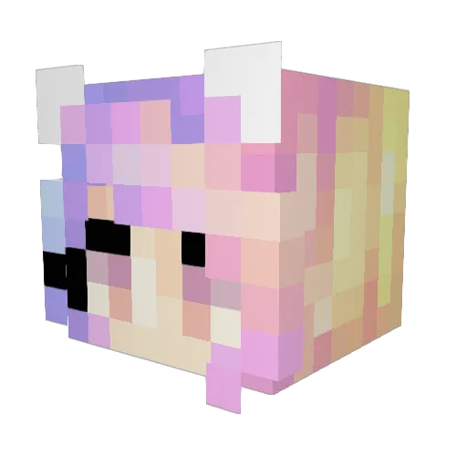 bjhg Minecraft avatar head, 3D render