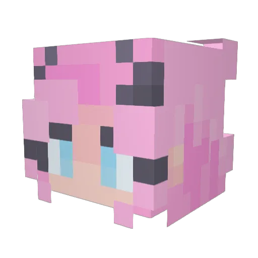 bjjn Minecraft avatar head, 3D render