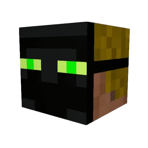 bjjreash Minecraft avatar head, 3D render
