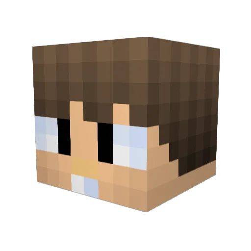 bjk110 Minecraft avatar head, 3D render