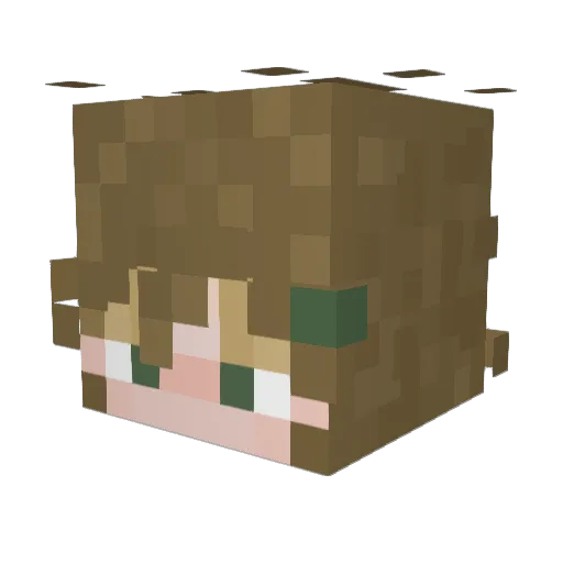 bjr87 Minecraft avatar head, 3D render