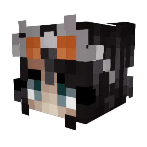 bjrmau Minecraft avatar head, 3D render
