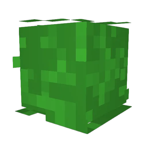 bjv2001 Minecraft avatar head, 3D render