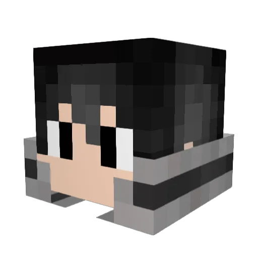 bk1genesis Minecraft avatar head, 3D render