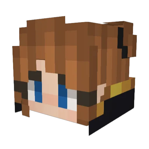 bk_2o1 Minecraft avatar head, 3D render