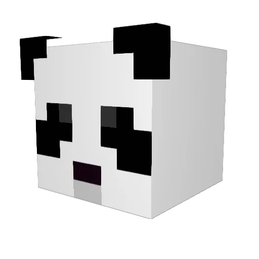 bk_levrai Minecraft avatar head, 3D render