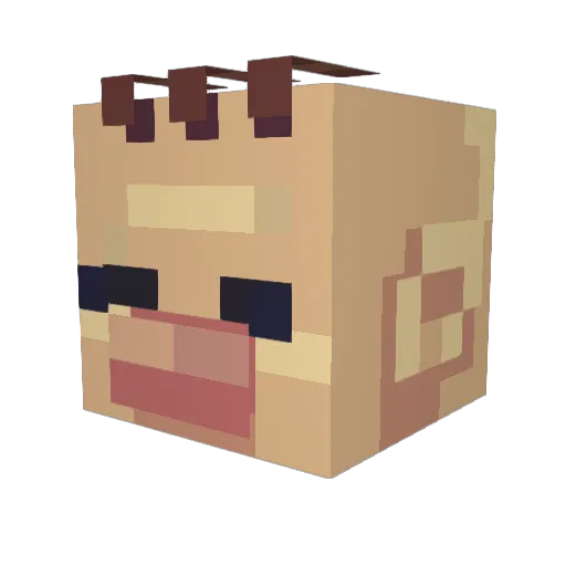 bkelly46 Minecraft avatar head, 3D render