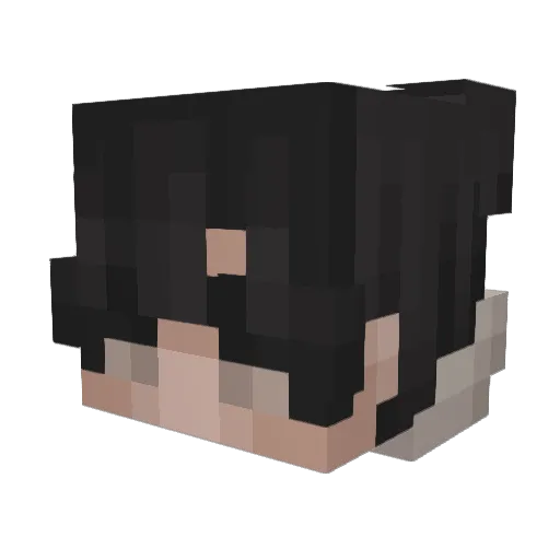 bkfan1125 Minecraft avatar head, 3D render