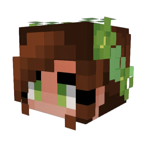 bkjade Minecraft avatar head, 3D render