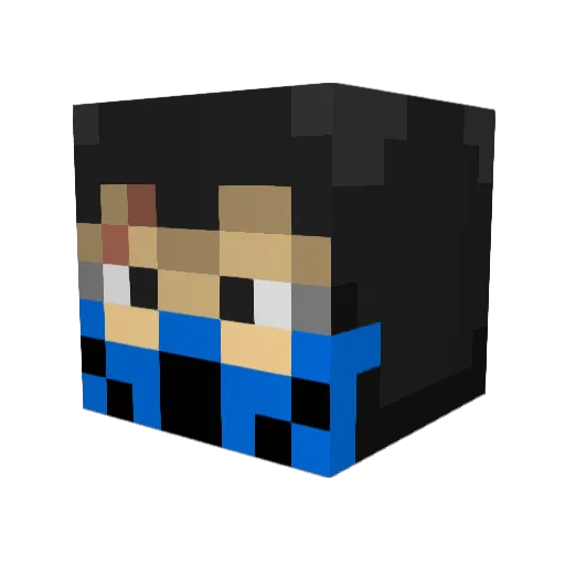 bkoalminer Minecraft avatar head, 3D render