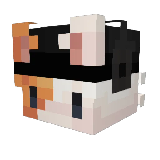bks54 Minecraft avatar head, 3D render