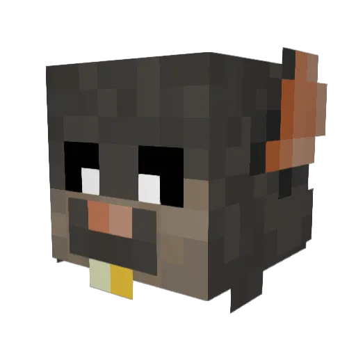 bktfrank Minecraft avatar head, 3D render