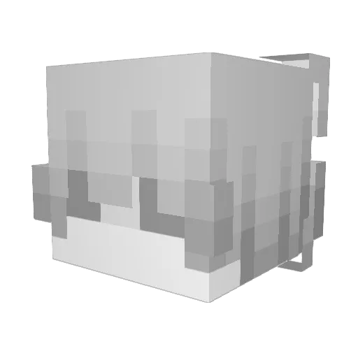 bkxp Minecraft avatar head, 3D render