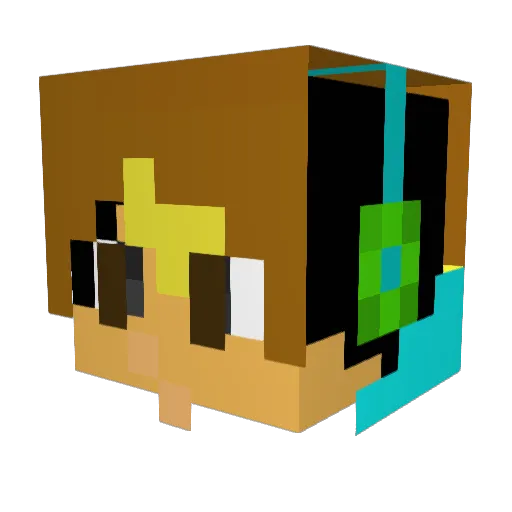 bl0ckcha1n Minecraft avatar head, 3D render