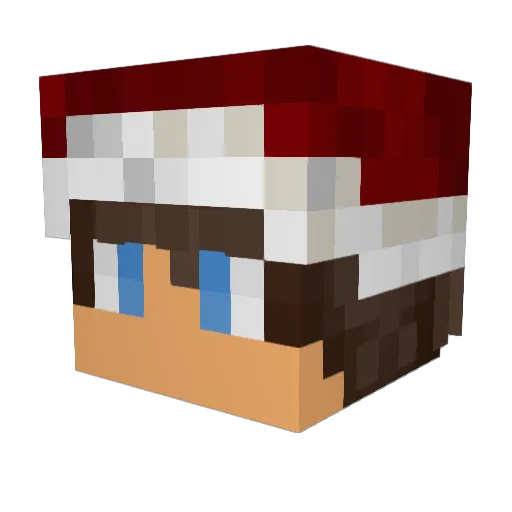 bl0ckdestroyer Minecraft avatar head, 3D render
