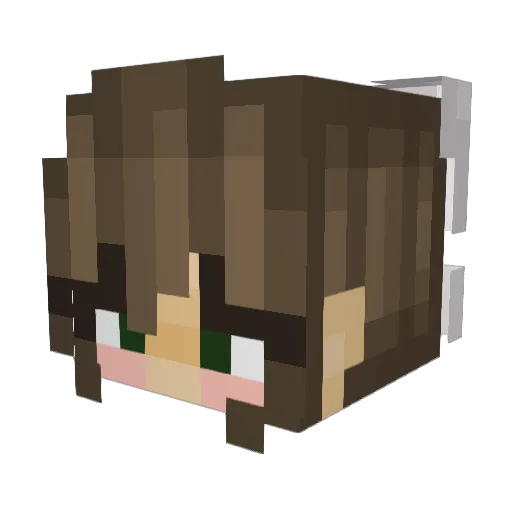 bl0ckgam3 Minecraft avatar head, 3D render