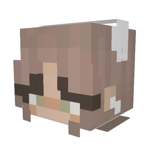bl0ss0mz Minecraft avatar head, 3D render