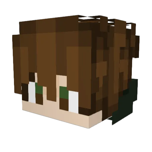 bl4nkslate Minecraft avatar head, 3D render