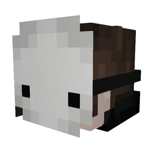bl8nk_ Minecraft avatar head, 3D render