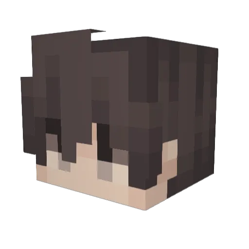 bl_00m Minecraft avatar head, 3D render
