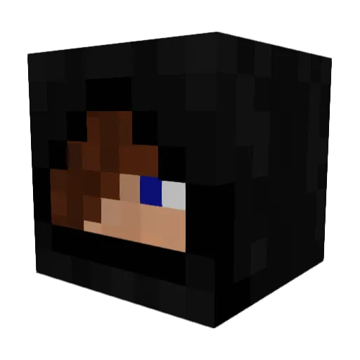 blaasfM Minecraft avatar head, 3D render