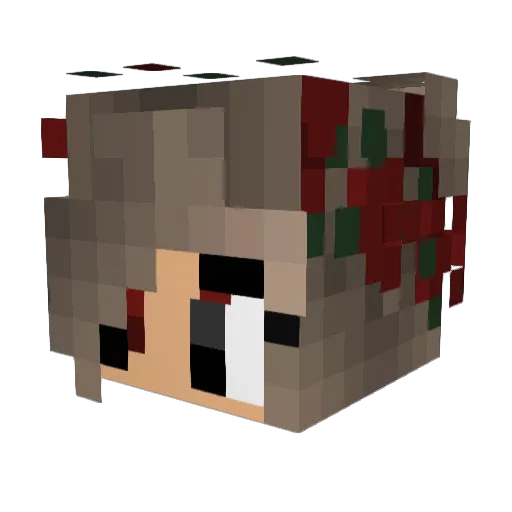 blaazex1 Minecraft avatar head, 3D render