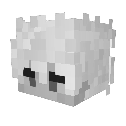 blacast_ Minecraft avatar head, 3D render
