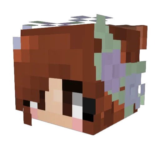 black17 Minecraft avatar head, 3D render