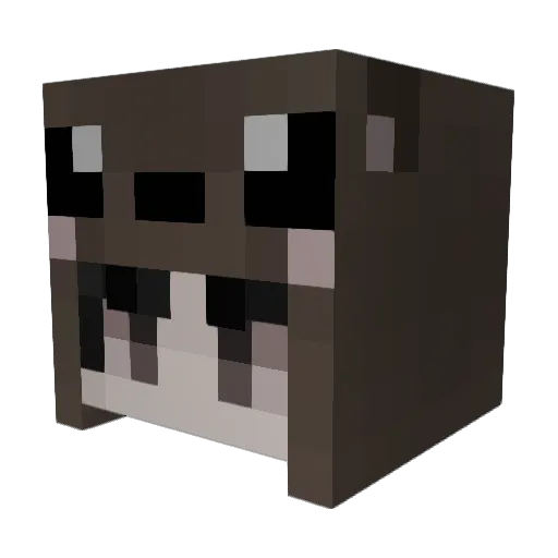 black9 Minecraft avatar head, 3D render
