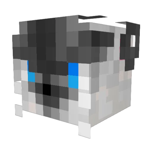 blackC1 Minecraft avatar head, 3D render
