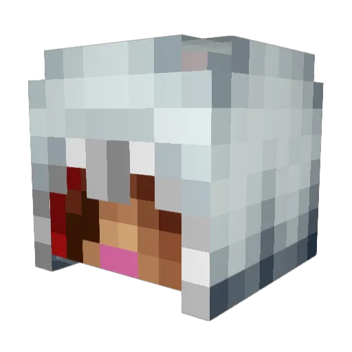 black_jackUSA Minecraft avatar head, 3D render