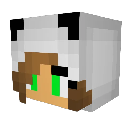 black_ninja5 Minecraft avatar head, 3D render