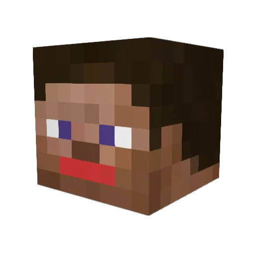 blackami Minecraft avatar head, 3D render