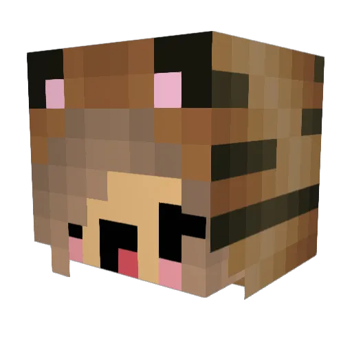 blackangle234 Minecraft avatar head, 3D render