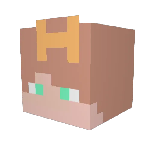 blackbird355 Minecraft avatar head, 3D render
