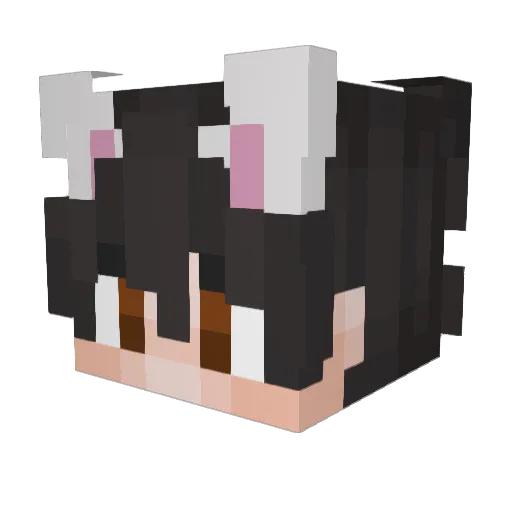 blackboy089 Minecraft avatar head, 3D render