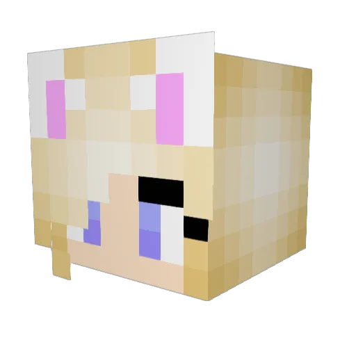 blackcat6421 Minecraft avatar head, 3D render
