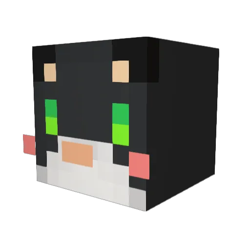 blackcat8749 Minecraft avatar head, 3D render