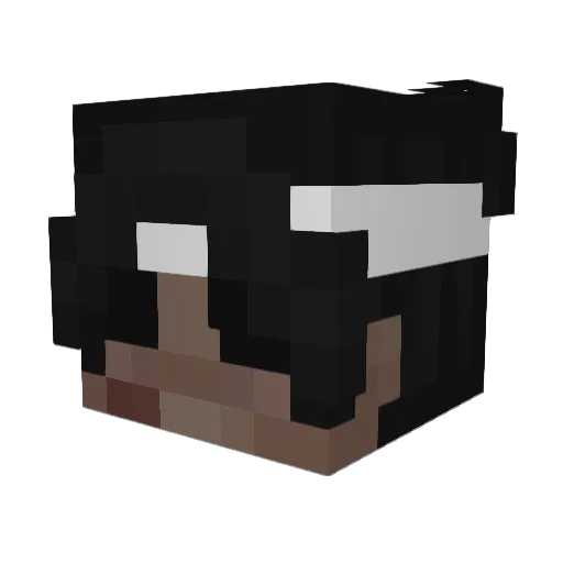 blackerzbrz Minecraft avatar head, 3D render