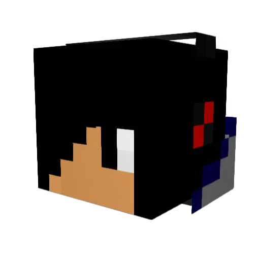 blackhawk012301 Minecraft avatar head, 3D render
