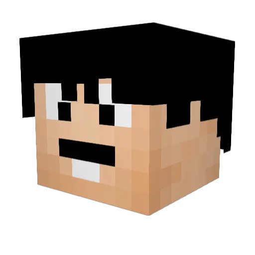 blackhawk6 Minecraft avatar head, 3D render