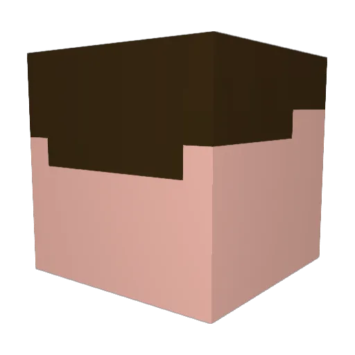 blackhawks2417 Minecraft avatar head, 3D render