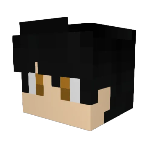 blackhole_97 Minecraft avatar head, 3D render