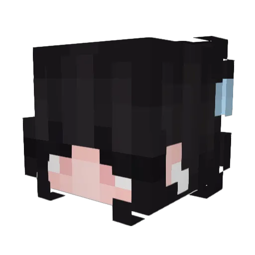 blackhxise Minecraft avatar head, 3D render