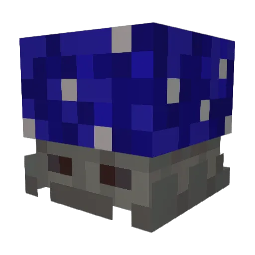 blackjack1822 Minecraft avatar head, 3D render