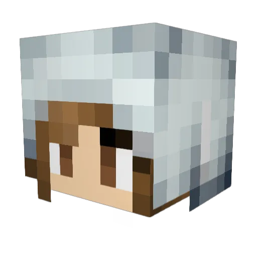 blackmolli1973 Minecraft avatar head, 3D render